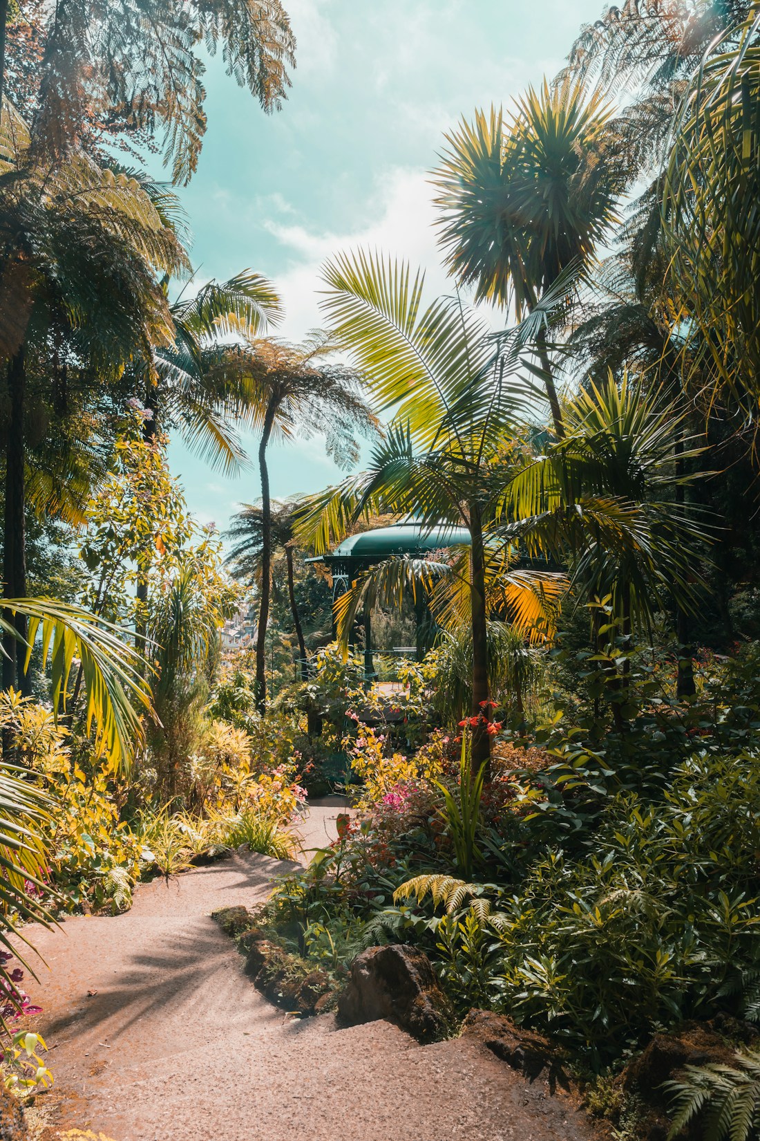 Tropical Relaxation