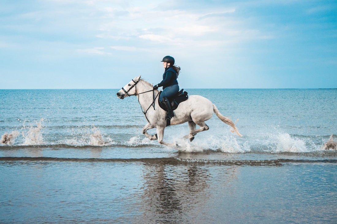 Rum & Horses